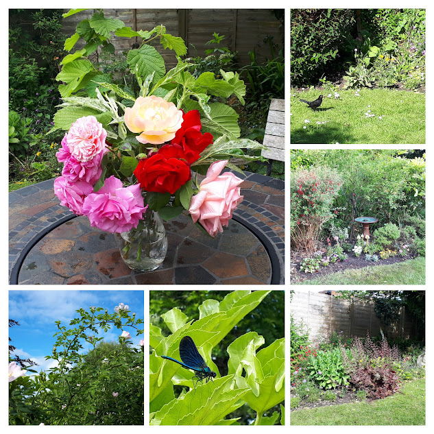 Has a preview image link and yet 404 :/